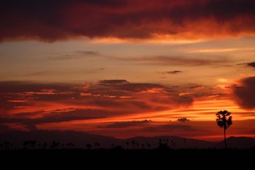 Cambodge paysages