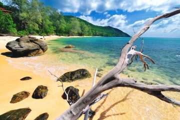 Cambodge paysages