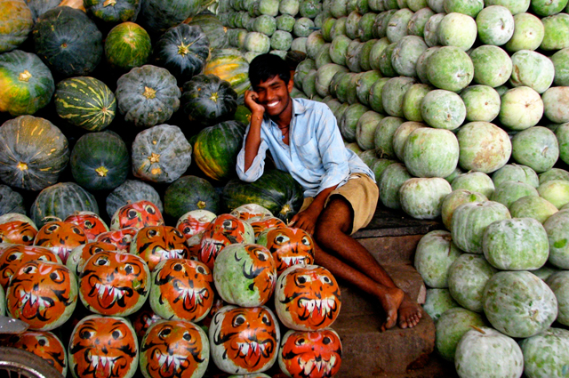 Inde du Sud
