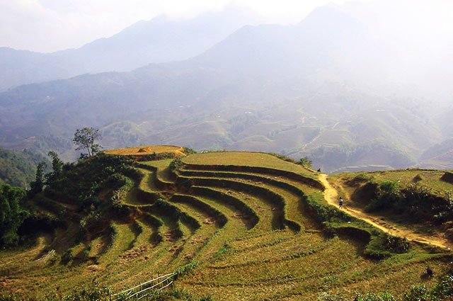 Vietnam